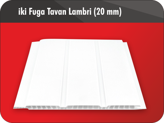 İki Fuga Tavan Lambri