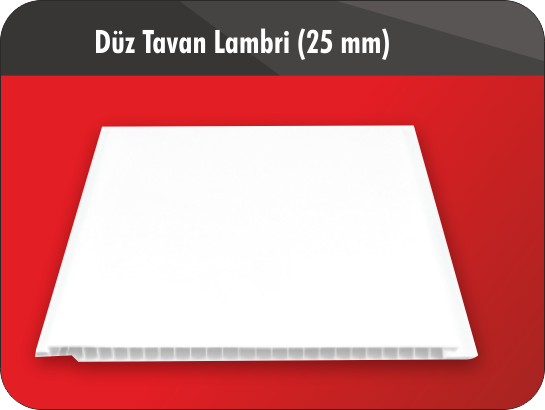 Tavan Lambrileri