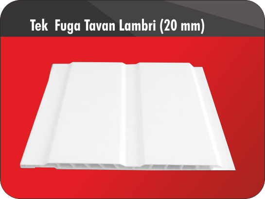 Tek Fuga Tavan Lambri